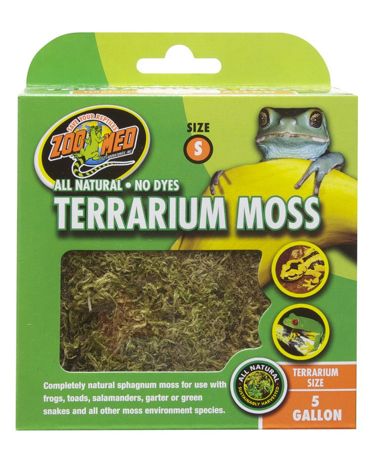 ZOOMED TERRARIUM MOSS MD