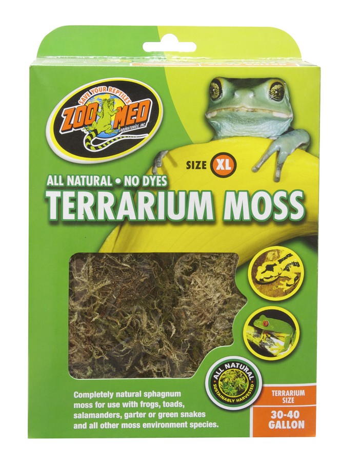 ZOOMED TERRARIUM MOSS MD