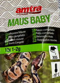 Amtra Topo Baby xxs 1-2gr 12pz