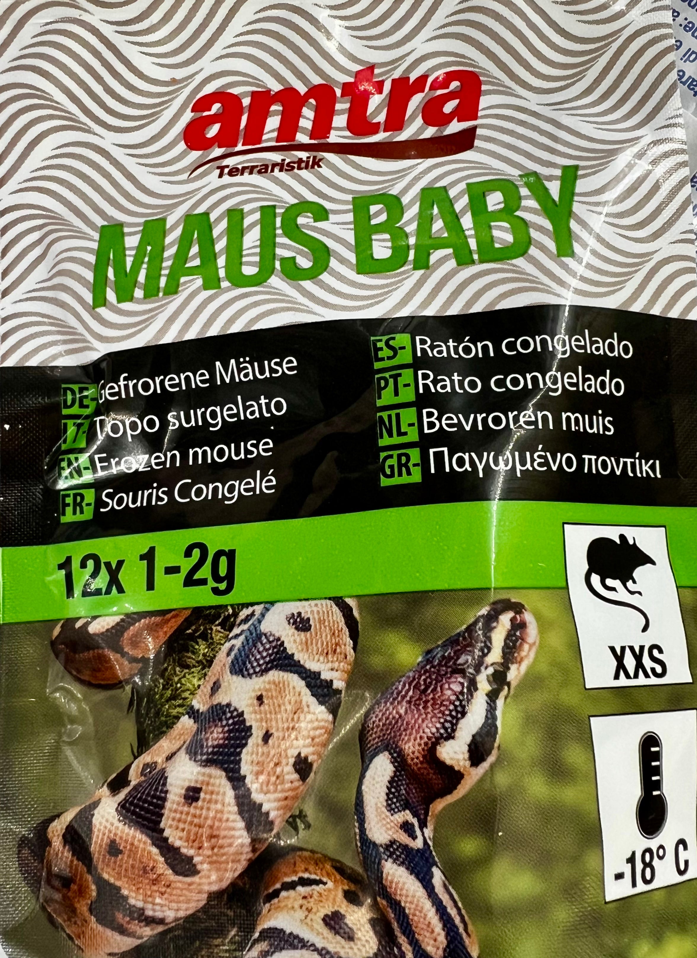 Amtra Topo Baby xxs 1-2gr 12pz