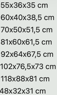 TRASPORTINO BRACCO TRAVEL OMOLOGATO