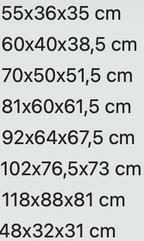 TRASPORTINO BRACCO TRAVEL OMOLOGATO