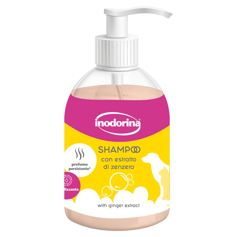 INODORINA SHAMPOO 300ML