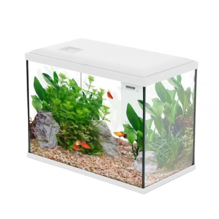 ACQUARIO INITIO - ZOLUX