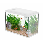 ACQUARIO INITIO - ZOLUX