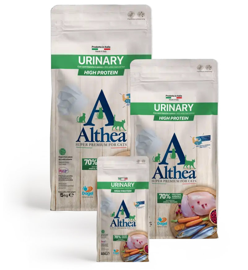 ALTHEA GATTO
