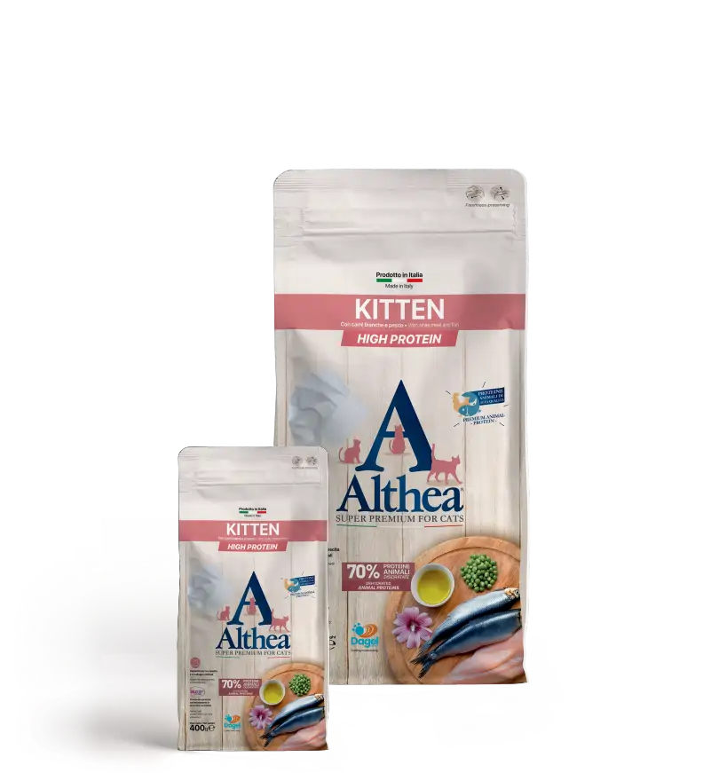 ALTHEA GATTO
