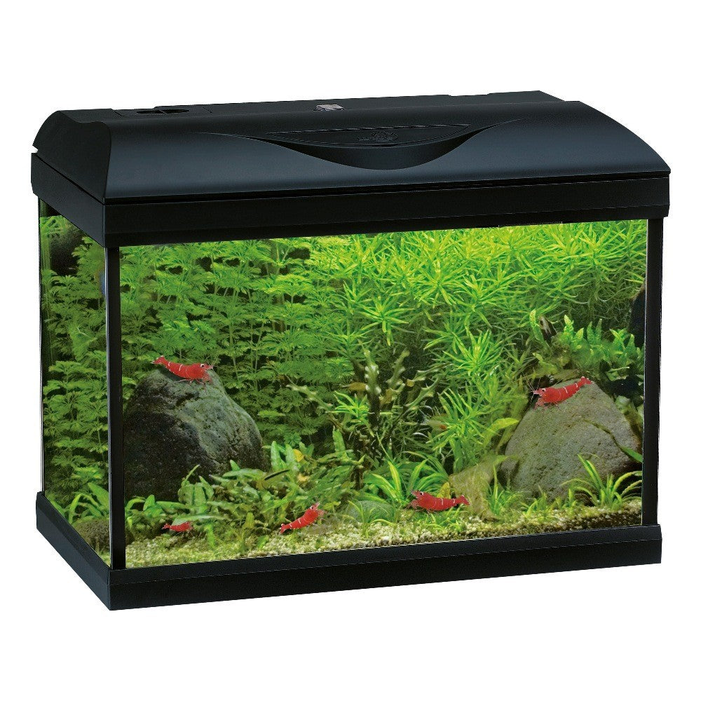 AMTRA BASIC LED 40 BLACK