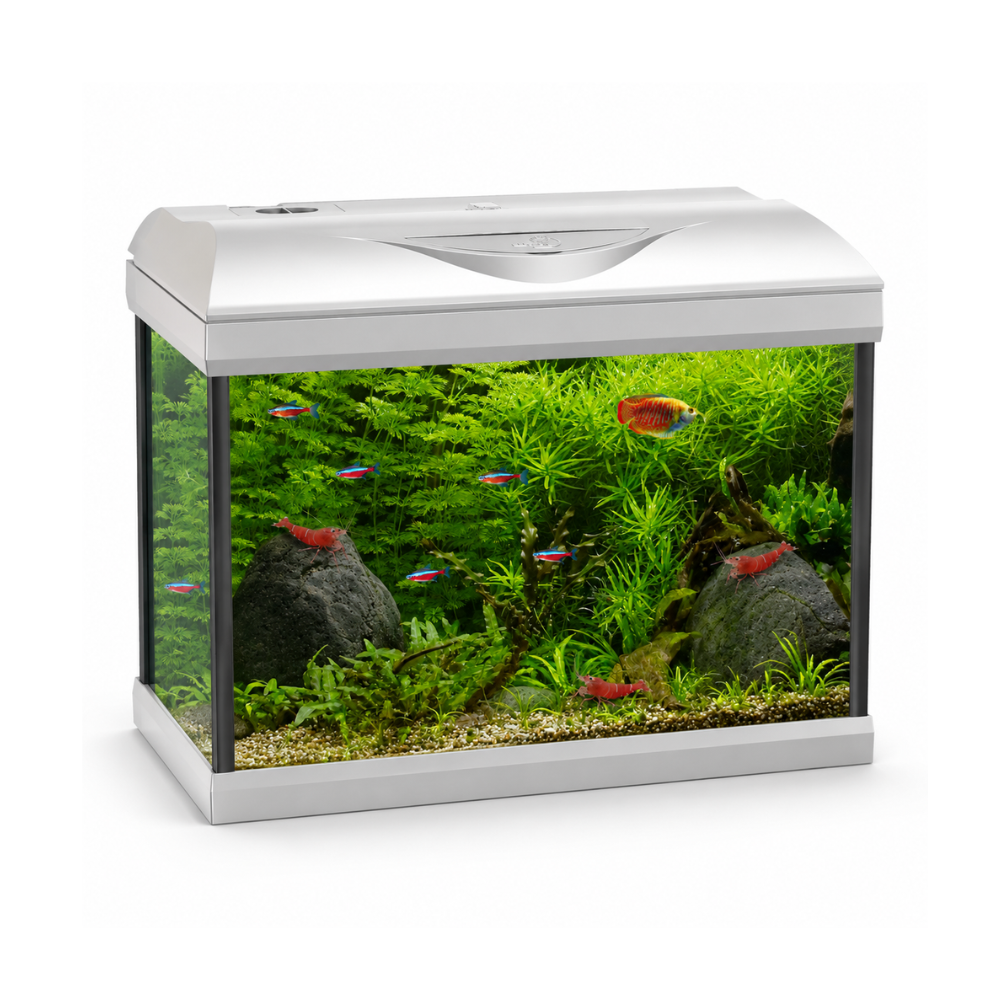 AMTRA BASIC 60 LED - WHITE