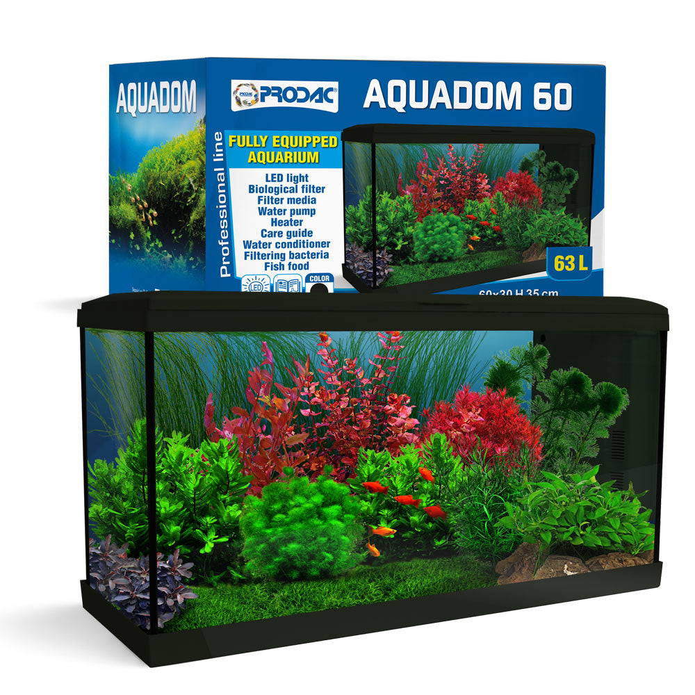 PRODAC AQUADOM 60  BLACK ( + STARTER KIT)