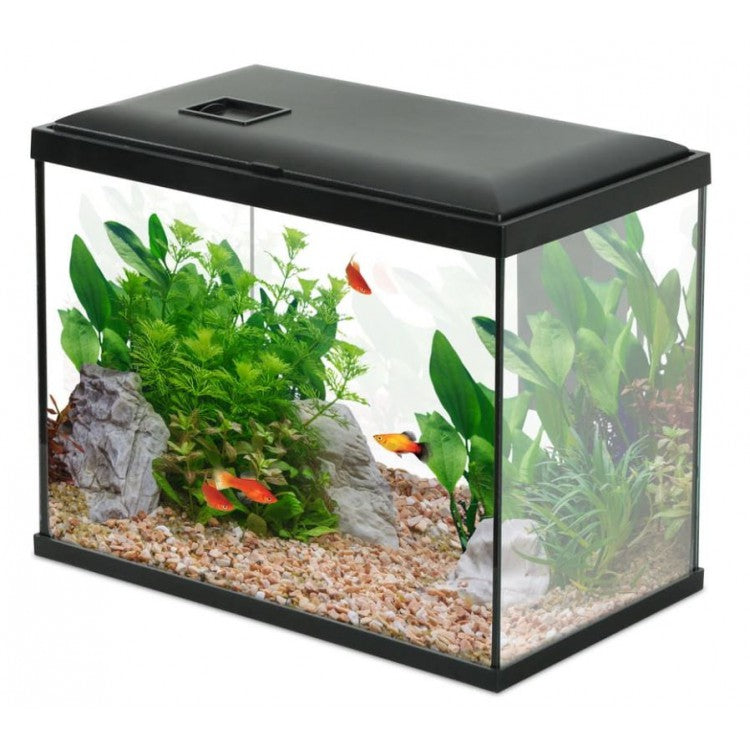 ACQUARIO INITIO - ZOLUX