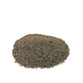 PRODAC ARTEMIA EGGS 50ML