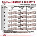 Royal Canin Gastrointestinal Fibre Response gatto