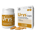 INNOVET URYS CAPS (30)