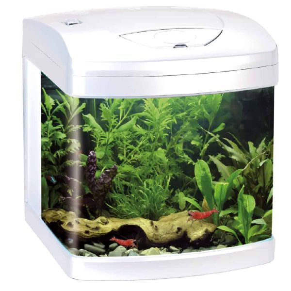 AMTRA XCUBE 26L LED WHITE