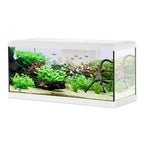ZOLUX ACQUARIO AQUA TANA 80