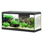 ZOLUX ACQUARIO AQUA TANA 80