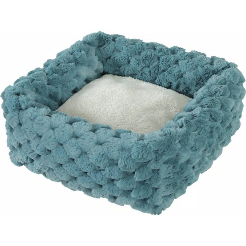 CUCCIA QUADRA ABELHA