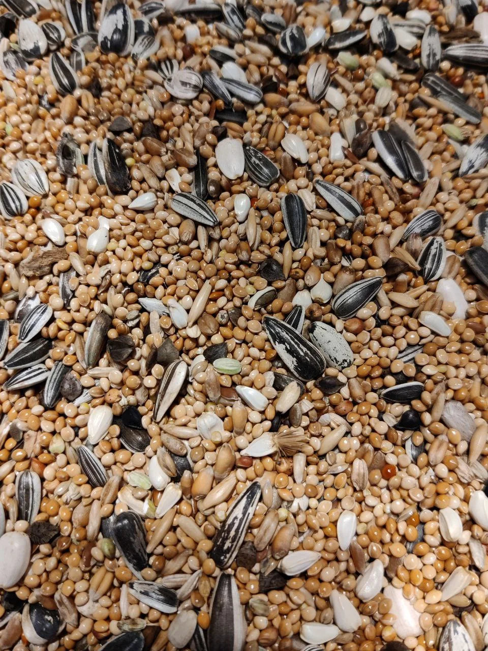 Picò miscela Inseparabili Parrocchetti 1kg