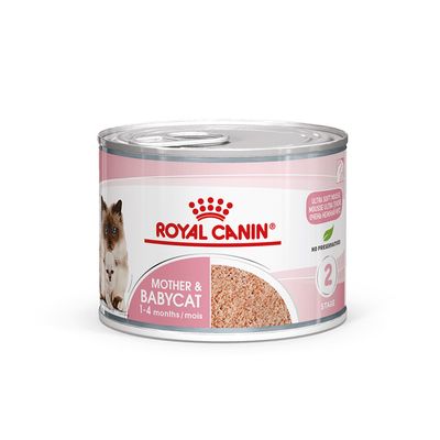 royal canin mother & babycat