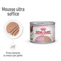 royal canin mother & babycat