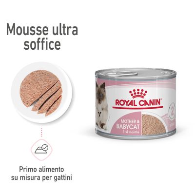 royal canin mother & babycat