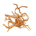 LEGNO RED WOOD ZOLUX