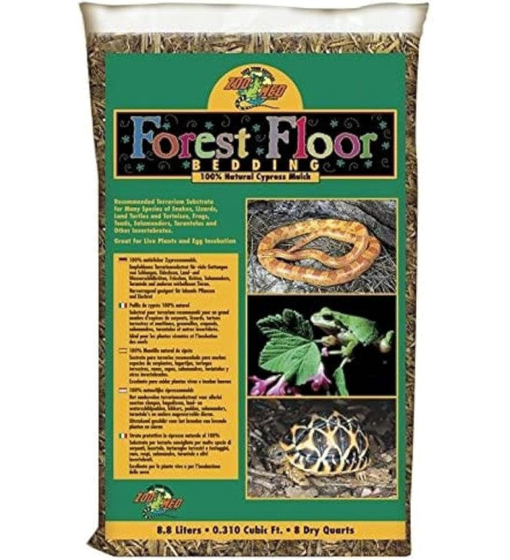 ZOOMED FOREST FLOOR LT4.4